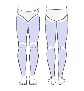 ふともも・すね脱毛